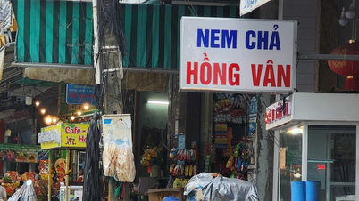 Food poisoning from eating Hong Van bread: Sausage, butter, chili, vegetables… contained Salmonella and Bacillus cereus bacteria.