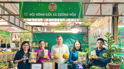 Bauern in Duong Hoa schließen sich zusammen, um die Armut zu bekämpfen.