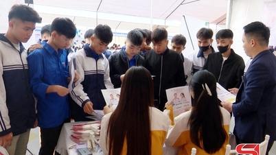 Tư vấn hướng nghiệp việc làm cho lao động xã Phù Yên