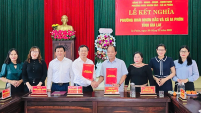 A comuna de Ia Pnôn está geminada com o distrito de Hoài Nhơn Bắc.