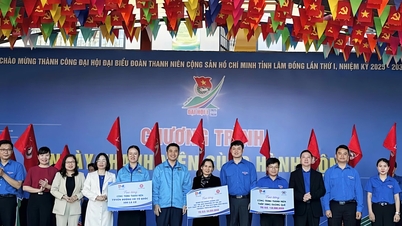 Practical activities for "Youth Action Day" in Lam Dong