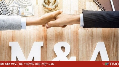 Năm kỷ lục của những thương vụ mua bán và sáp nhập lớn