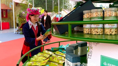 Dva podniky z Dong Nai byly oceněny na vietnamském festivalu OCOP 2025.