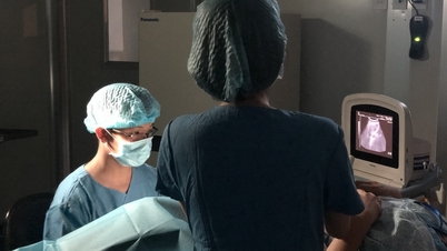 불임 부부 80쌍에게 무료 체외 수정(IVF) 시술을 제공합니다.