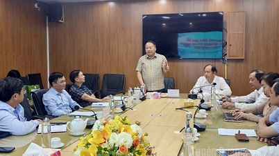 Chairman of the Provincial People's Committee Phan Huy Ngoc works with Fullbright University and several medical units in Ho Chi Minh City (Awaiting approval)