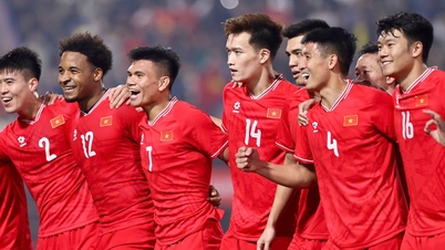 AFC menyampaikan berita yang sangat baik untuk pasukan kebangsaan Vietnam.