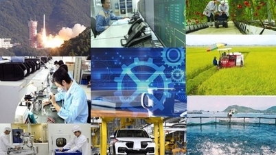 Tworzenie przełomowych rozwiązań w nauce, technologii, innowacjach i transformacji cyfrowej.