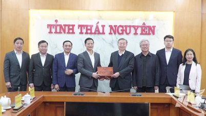 El presidente del Comité Popular de la provincia de Thai Nguyen, Vuong Quoc Tuan, recibe a la delegación de la Asociación Empresarial China.