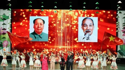 Continuar a abrir novas oportunidades para o intercâmbio cultural e a cooperação entre o Vietname e a China.