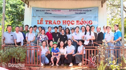 អព្ភូតហេតុនៃសេចក្តីមេត្តាករុណាបំភ្លឺអនាគតរបស់បងប្អូនកំព្រាពីរនាក់។