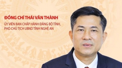 Approving the election results for the position of Vice Chairman of the People's Committee of Nghe An province.
