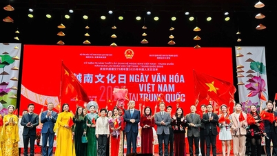 Rực rỡ sắc màu văn hoá Việt Nam tại Trung Quốc