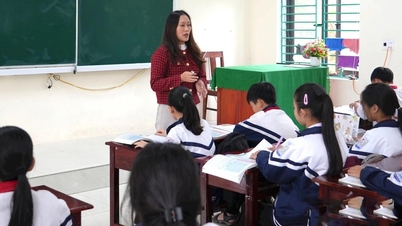 Guru kontrak kembali menghadapi kesulitan.