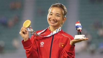 Behind Vietnam's 87 Gold Medals at the 33rd SEA Games