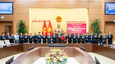Mr. Nguyen Hong Dien has been appointed to the position of Deputy Secretary of the National Assembly Party Committee.