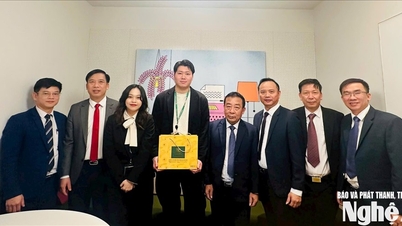 El vicepresidente del Comité Popular Provincial, Nguyen Van De, trabaja con empresas japonesas en agricultura verde.