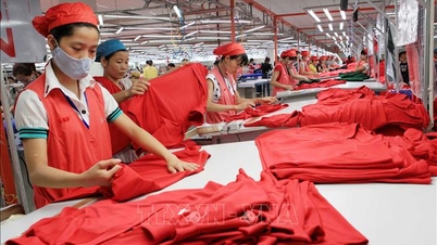 Comercio entre Vietnam y Estados Unidos: Hacia un desarrollo sostenible