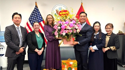 El Departamento de Asuntos Exteriores de Nghe An trabaja con las embajadas de varios países para promover la cooperación extranjera y atraer inversiones.