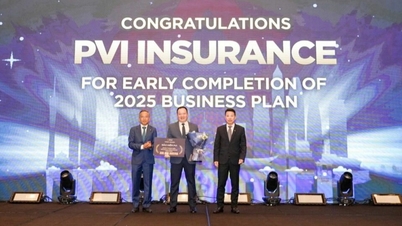 PVI 보험사가 매출 10억 달러를 돌파했습니다.