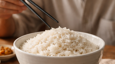 What should elderly people keep in mind when eating leftover rice?