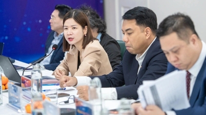 Mengimbas kembali siri aktiviti Forum ESG Vietnam 2025.