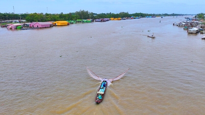 រថយន្ត​ប៊ុលដូហ្សឺរ​បាន​គរ​ដី​ដើម្បី​ចាប់​ត្រី​តូចៗ។