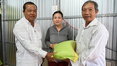 កសិករវ័យចំណាស់សាងសង់ផ្ទះសម្រាប់ជនក្រីក្រ។