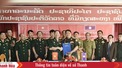 Building a strong and comprehensive Thanh Hoa Veterans Association to excellently fulfill its tasks in the new phase.