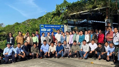ការអនុវត្ត AI ក្នុងការពង្រីកកសិកម្ម
