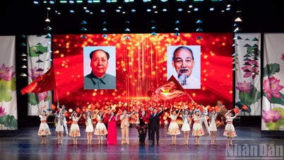 ទិវាវប្បធម៌វៀតណាមនៅប្រទេសចិន - ព្រឹត្តិការណ៍សំខាន់មួយដែលបញ្ចប់ឆ្នាំផ្លាស់ប្តូរមនុស្សធម៌វៀតណាម-ចិនឆ្នាំ ២០២៥។