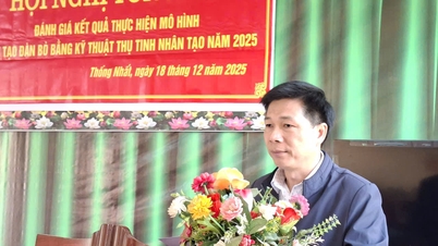 សន្និសីទសង្ខេបអំពីគំរូសម្រាប់ការកែលម្អហ្វូងគោដោយប្រើប្រាស់បច្ចេកទេសបង្កាត់ពូជសិប្បនិម្មិតនៅឆ្នាំ ២០២៥។
