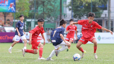 베트남과 일본 간의 연대감을 보여주는 축구 토너먼트가 막을 내렸습니다.