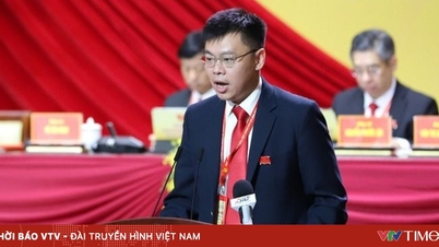 Mr. Truong Minh Huy Vu serves as the Chairman of the Executive Office of the Vietnam International Finance Centre in Ho Chi Minh City.
