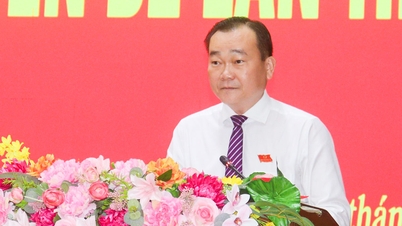 Opening of the Fourth Special Session of the Provincial People's Council, 10th term.