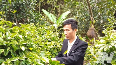 "Stay close to the land, stay close to the forest" for the development of medicinal plants.