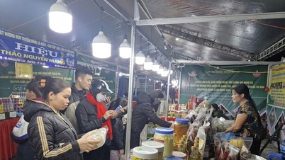 Hanoi: Promoting sustainable production and consumption.