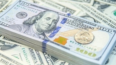 Tỷ giá USD hôm nay 22/12: Giao dịch ổn định trước kỳ nghỉ lễ