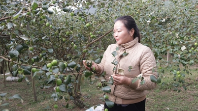 Xuan Duong supera as dificuldades.