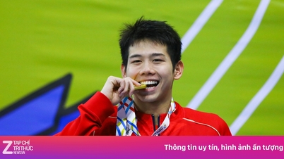 O Vietnã conquista medalhas de ouro da maneira mais eficiente nos Jogos do Sudeste Asiático de 2013.