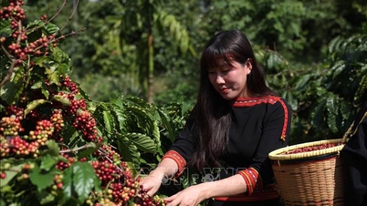 Xây dựng tour, tuyến du lịch với hành trình trải nghiệm từ đại ngàn đến biển xanh