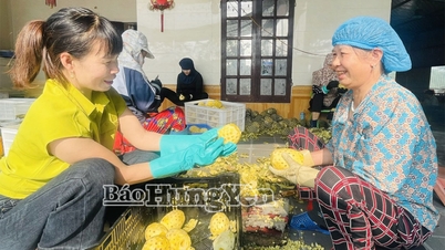 Phụ nữ Hưng Yên khởi nghiệp, tạo sinh kế bền vững