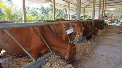 ឥណទានគោលនយោបាយបានបង្ហាញថាមានប្រសិទ្ធភាពក្នុងការកាត់បន្ថយភាពក្រីក្រ និងសុខុមាលភាពសង្គម។