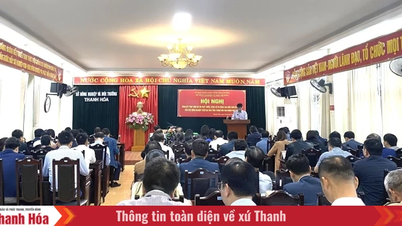 សេចក្តីសង្ខេបនៃគម្រោងស្តីពីការអភិវឌ្ឍ ការបង្រួបបង្រួម និងការកែលម្អប្រសិទ្ធភាពនៃសហករណ៍កសិកម្មនៅខេត្តថាញ់ហ័រ ឆ្នាំ២០២១-២០២៥។