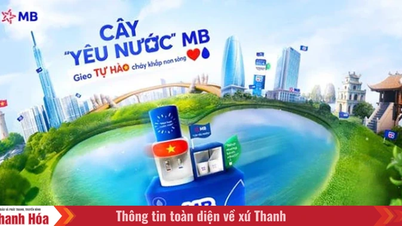 «ដើមឈើស្នេហាជាតិ» រីករាលដាលរុក្ខជាតិបៃតងពាសពេញមែកឈើជាង 300 MB៖ សាបព្រួសគ្រាប់ពូជនៃមោទនភាពដែលហូរពេញប្រទេស»។