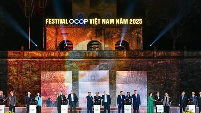 Vietnam OCOP Festival 2025: When rural products illuminate Thang Long Imperial Citadel.