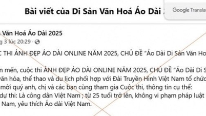 Responsibilities of the Vietnam Ao Dai Culture Association