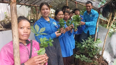 «សួន​ជីនសេង​នៃ​សាមគ្គីភាព» ជួយ​យុវជន​ឲ្យ​រួច​ផុត​ពី​ភាព​ក្រីក្រ។