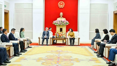Menggalakkan kerjasama tempatan antara Vietnam dan Laos.
