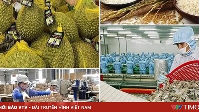 Exports of agricultural, forestry, and aquatic products set a new record.