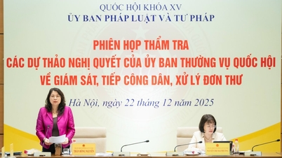 គណៈកម្មាធិការអចិន្ត្រៃយ៍នៃគណៈកម្មាធិការច្បាប់ និងយុត្តិធម៌នៃរដ្ឋសភា បានពិនិត្យសេចក្តីព្រាងសេចក្តីសម្រេចចំនួនពីរ។